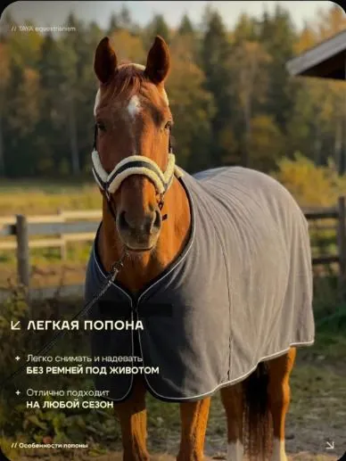Флисовая попона для лошади